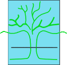 Tuinbalans